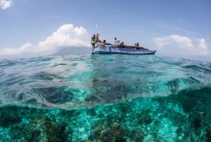 BEST 7 REASONS TO VISIT MOMBASA MARINE PARK