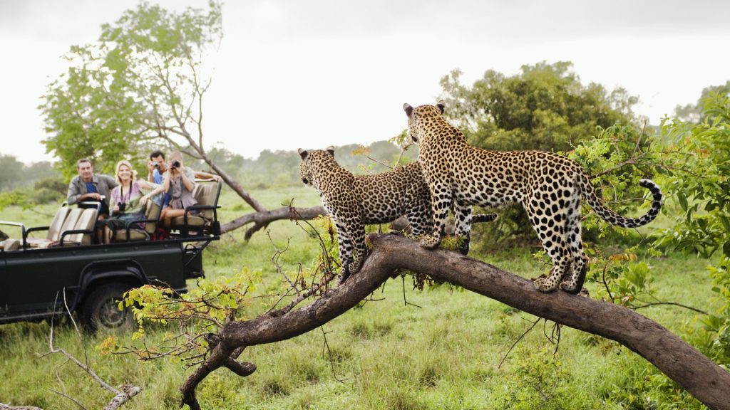 12-Day Mid-Range Thrilling Safari In Kenya And Tanzania