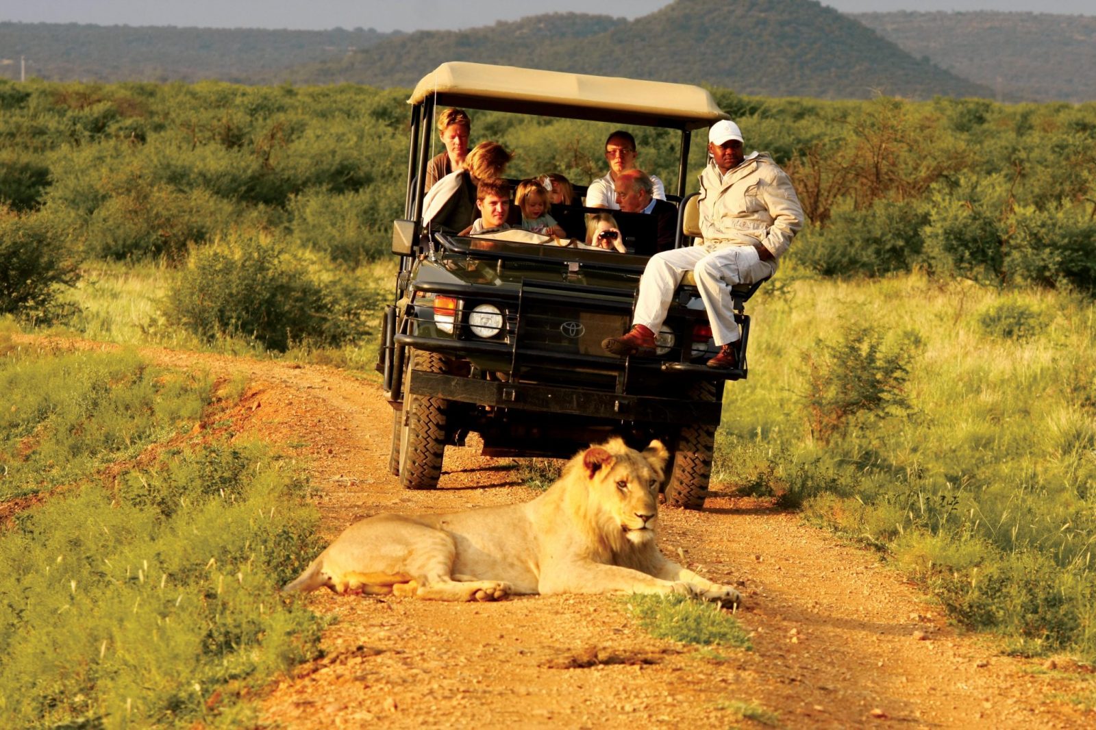 Africa Safaris Tour Big Five Travel Holiday Adventure Wildlife Nature Honeymoon tour company Vacation trip tourism nature Kubwa