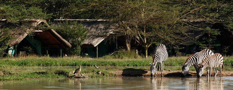 Best Time To Visit Ugalla River