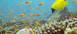Top 5 Best Hotels And Lodges In Mombasa