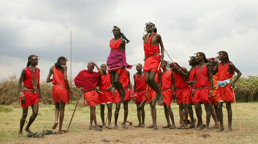 Africa Safaris Tour Big Five Travel Holiday Adventure Wildlife Nature Honeymoon tour company Vacation trip tourism nature Kubwa