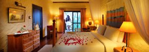 Top Best 5 Safari Lodges In Kibale National Park