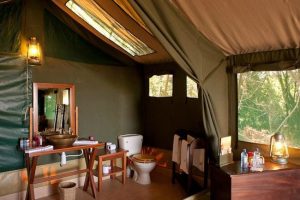 How Much Does An African Safari Cost