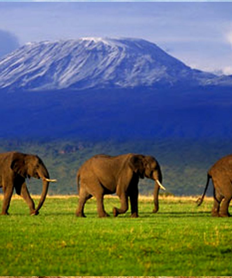5 Interesting Facts About Kenya