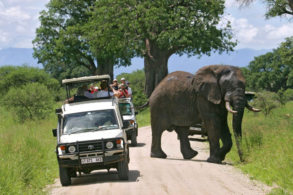 10 Day Mid-Range Thrilling Safari In Tanzania And Zanzibar Island