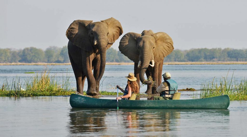 10 Best Things To Do In Hwange National Park