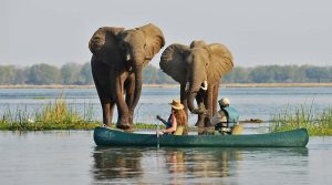 10 Best Things To Do In Hwange National Park