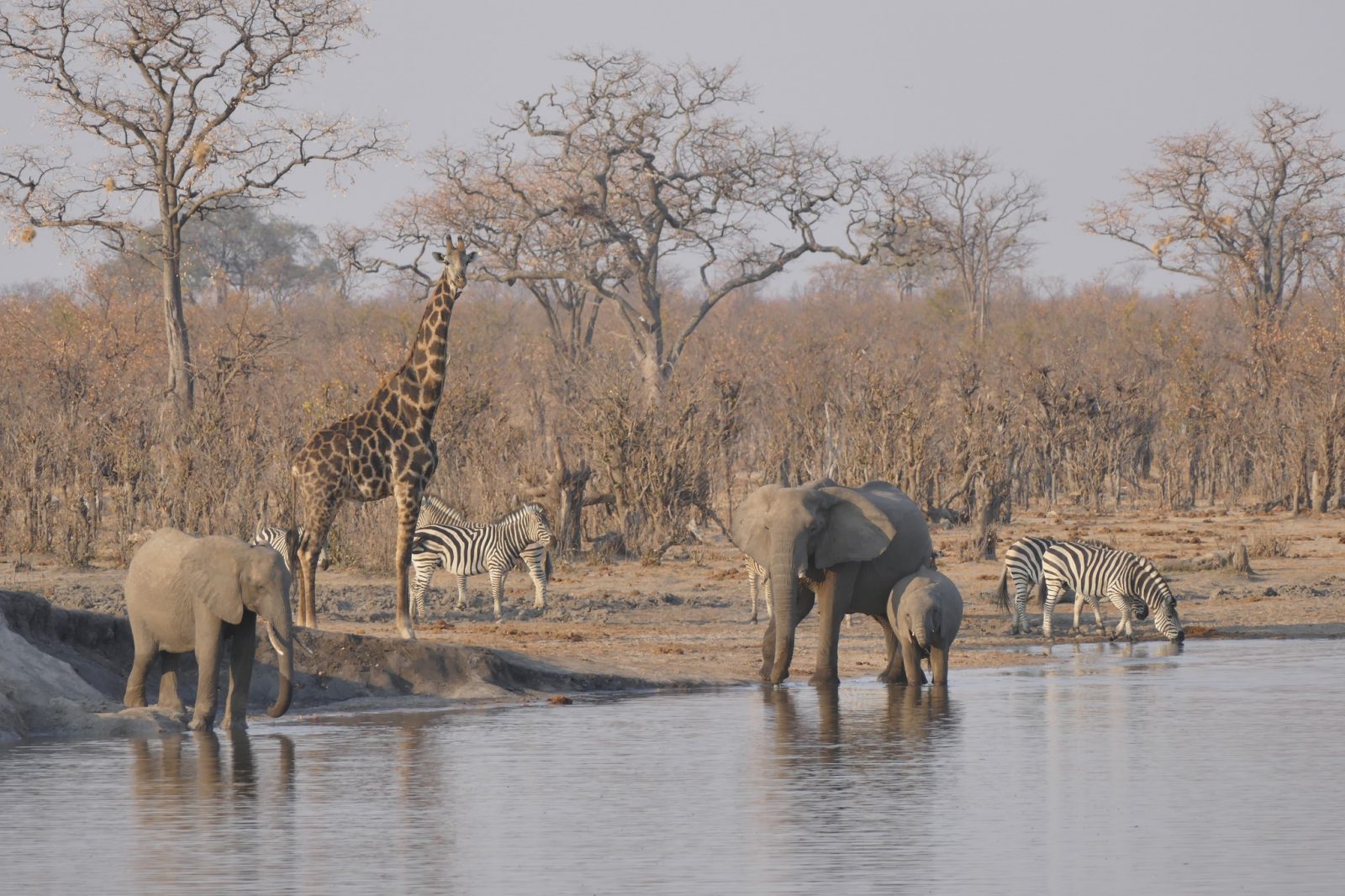 6 days of safari tour In Zimbabwe