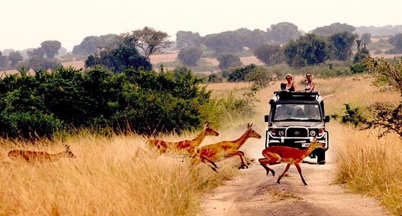 Namibia Safari Tours And Holidays