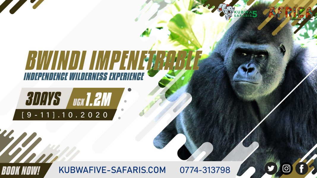Bwindi Independence Wilderness Gorilla Experience