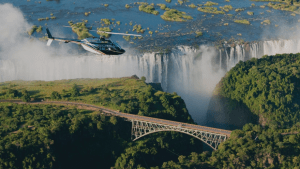 Big Five Safaris Wildlife Tour Travel Visit Destination Trips Victoria Falls