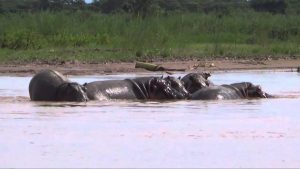 10 Top Reasons Why You Should Visit Burundi