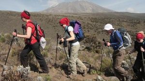 Trekking Rongai Route Mountain Kilimanjaro