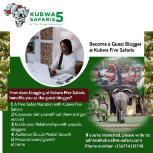 Travel And Tour Blogs