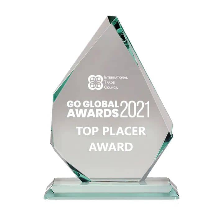 Top Placer Go Global Awards 2021