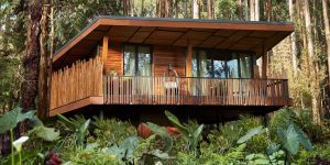 Top 5 Best Safari Lodges In Volcanoes
