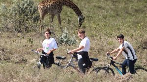 bicycle safari