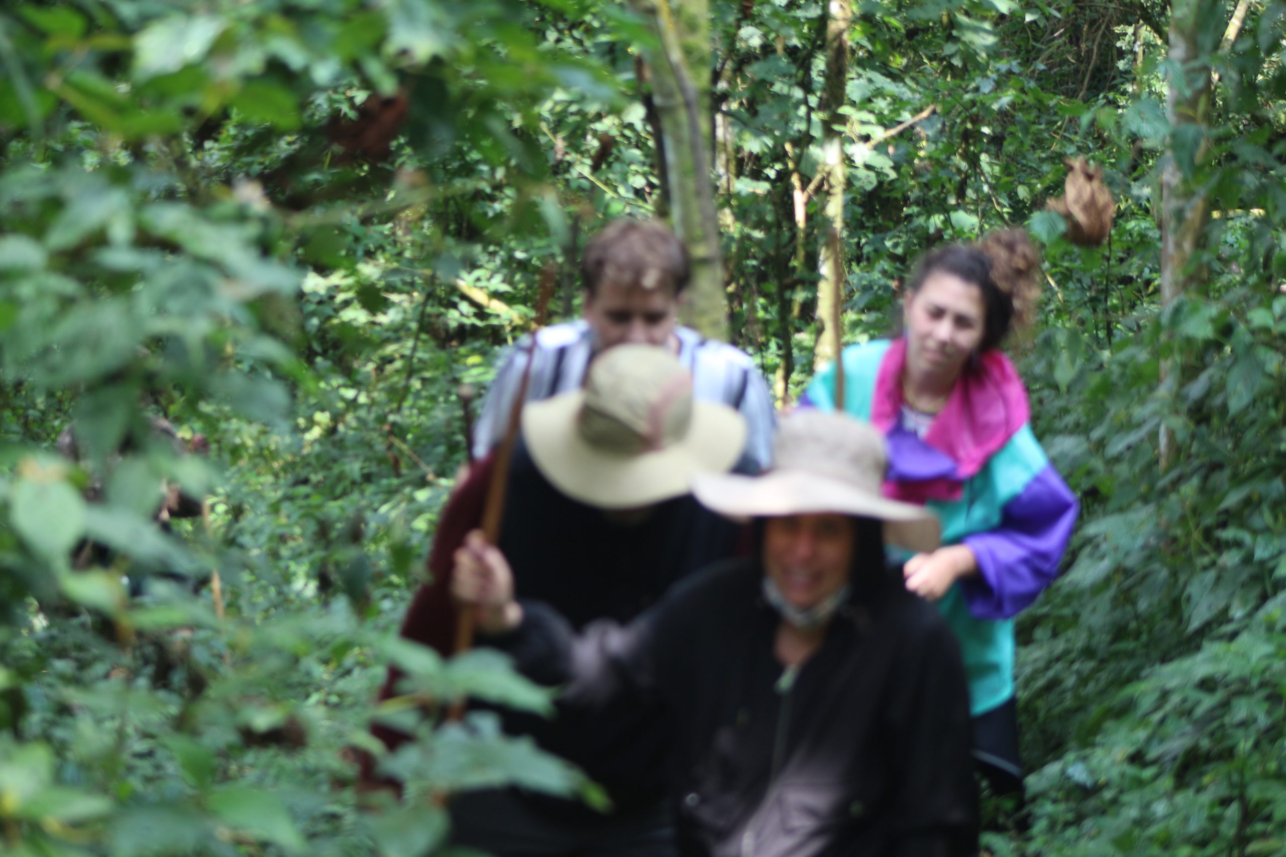3-Day Budget Gorilla Trekking In Mgahinga NP