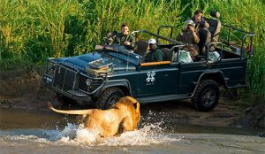 BEST WEATHER AND CLIMATE IN KRUGER