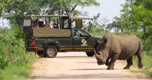 BEST WEATHER AND CLIMATE IN KRUGER NATIONAL PARK
