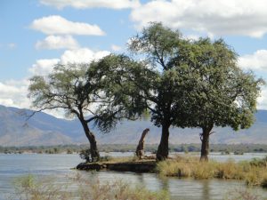 BEST 10 REASONS TO VISIT MANA POOLS
