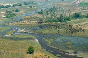 Best Places For Hot Air Balloon In Botswana