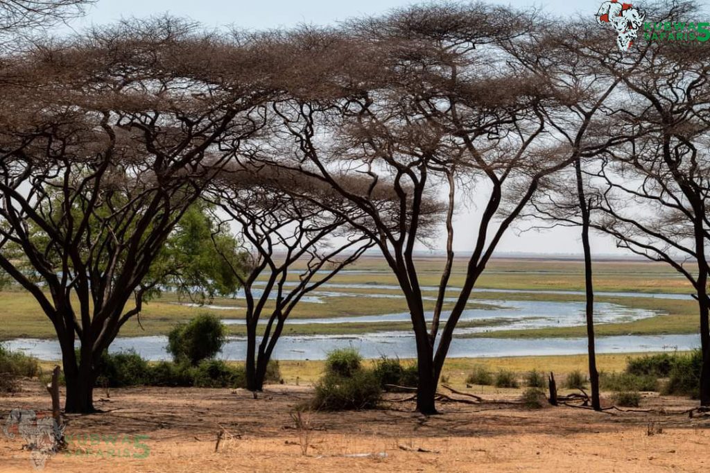 Okavango Delta