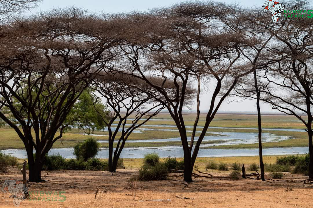 3-Day Thrilling Ultra-Luxury Safari In Okavango Delta