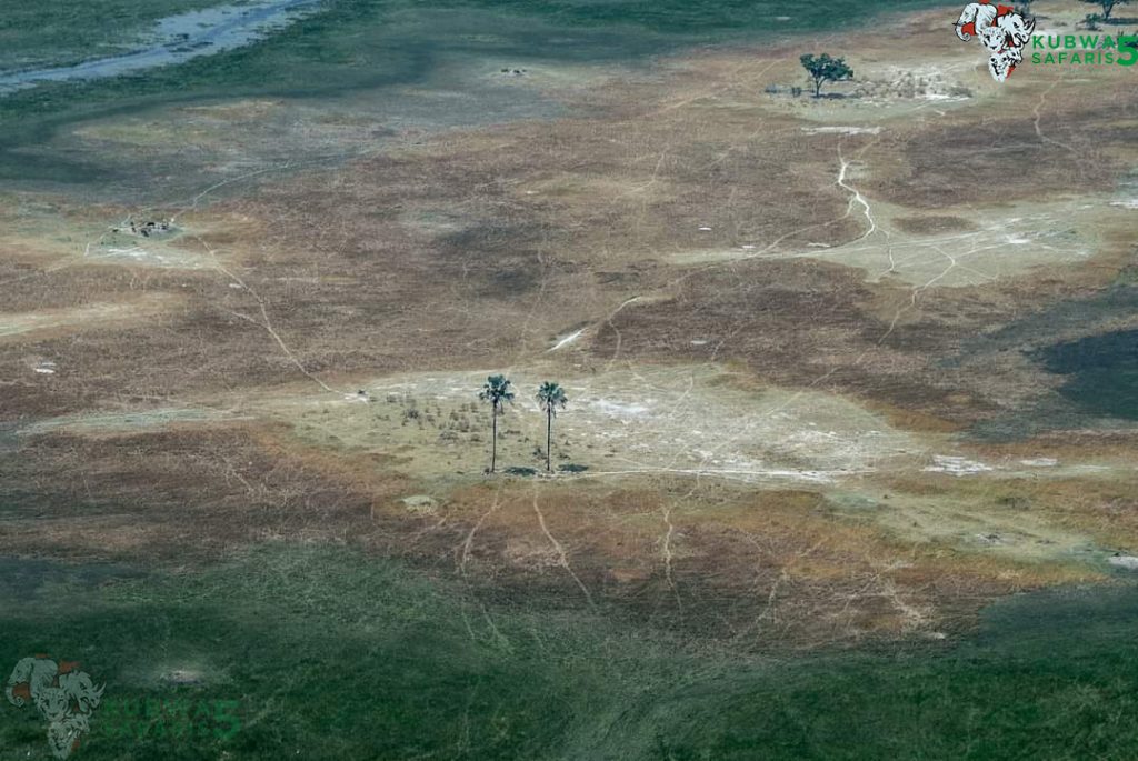 Okavango Delta