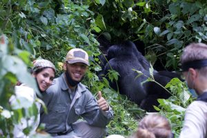 Gorillas Trekking In Uganda 2023/2024