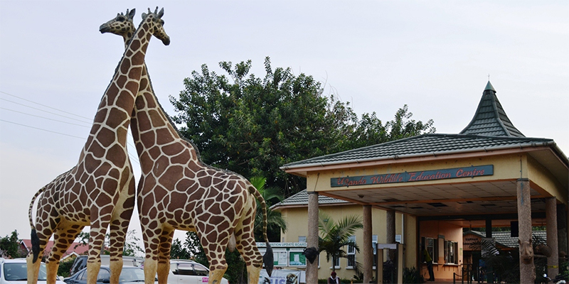 Uganda-Wildlife Education Center