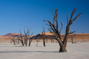 Best 10 Reasons To Visit Deadvlei