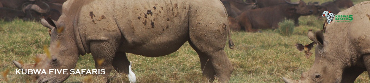 6-Day Breathtaking Budget Safari In Tanzania