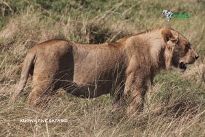 10 Best Wildlife Sanctuaries In Africa