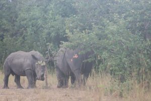 10 Best Sanctuaries In East Africa