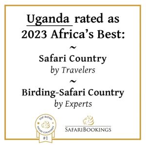 Uganda Is The Best Safari Country In 2023