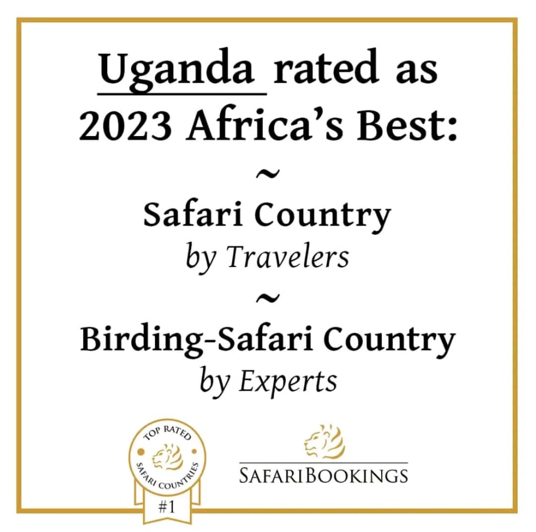 Uganda Is The Best Safari Country In 2023