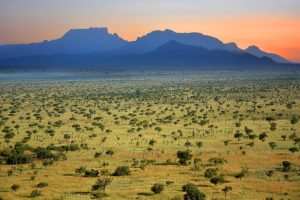 Do You Ideally Need A Visa To Come To Uganda?