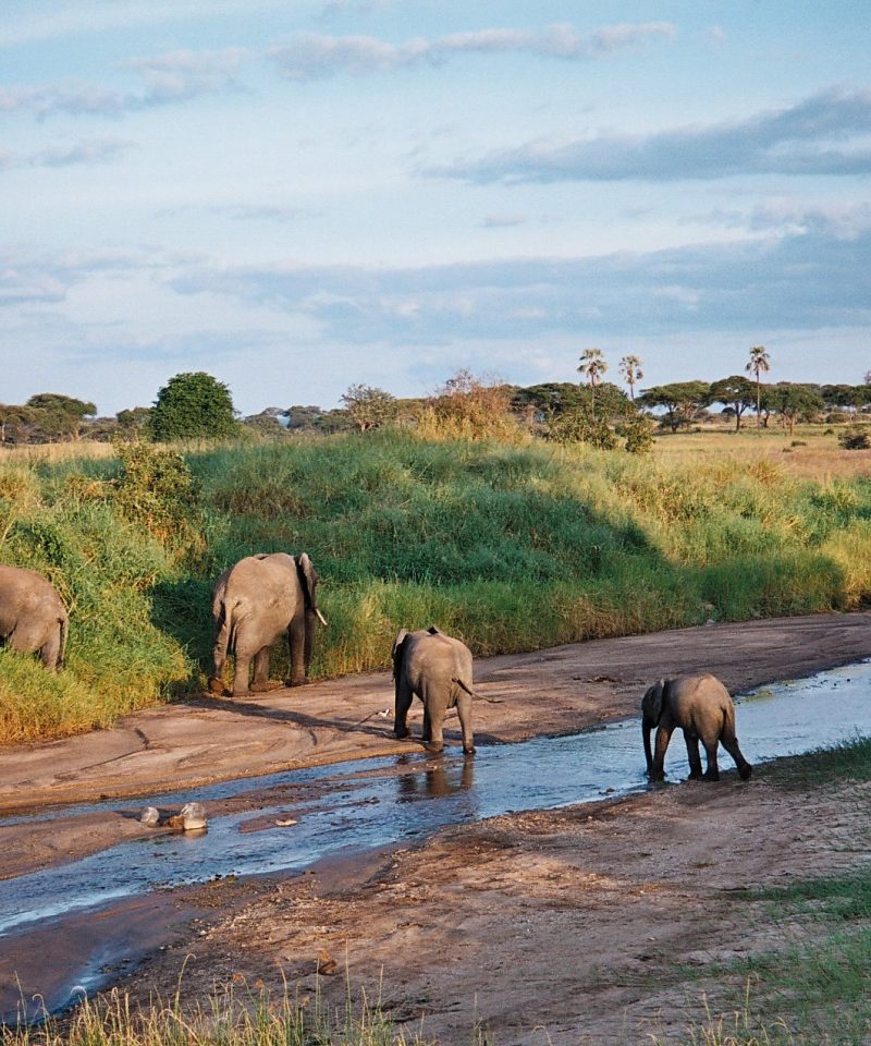 14 Day East Africa Luxury Safari