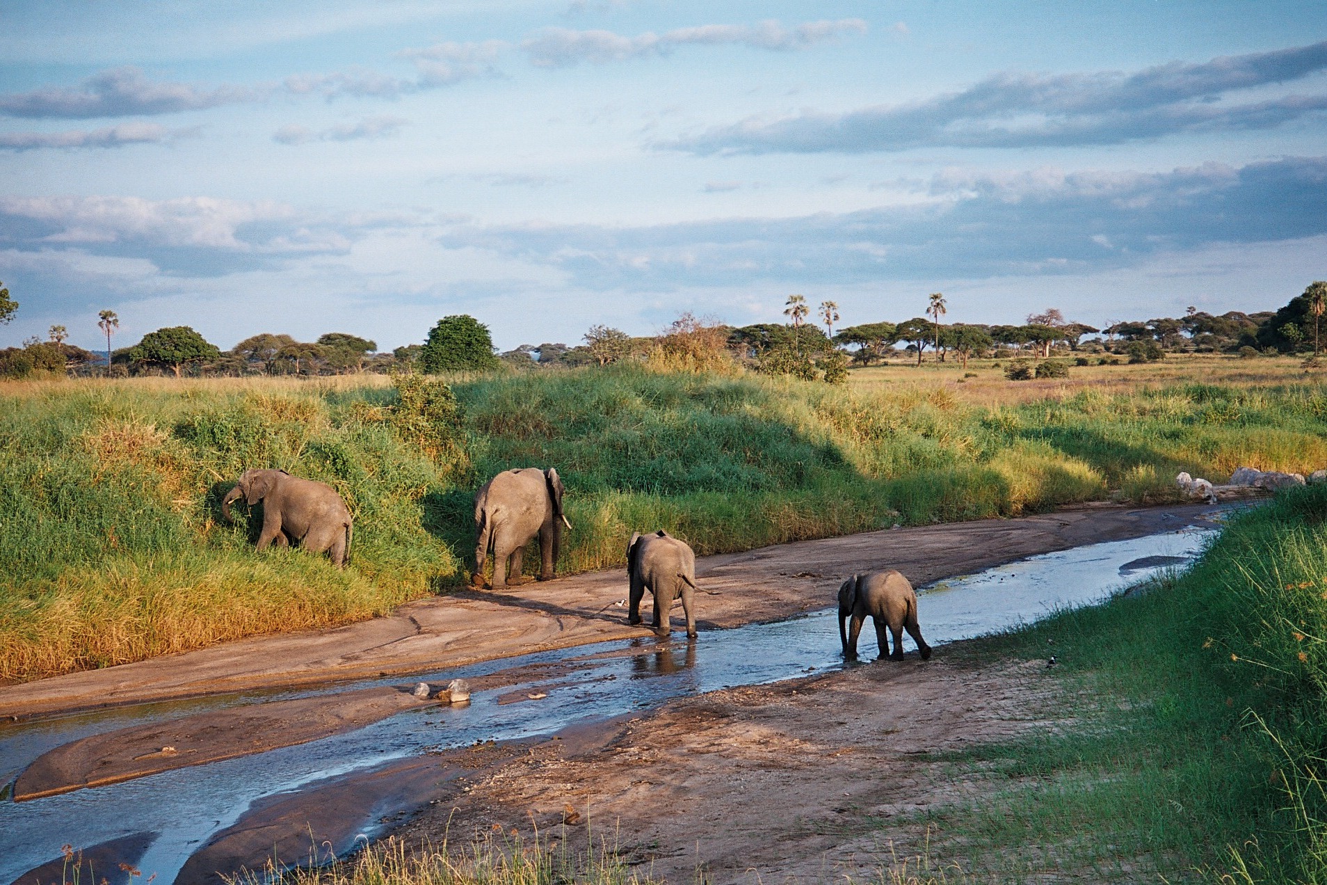 14 Day East Africa Luxury Safari