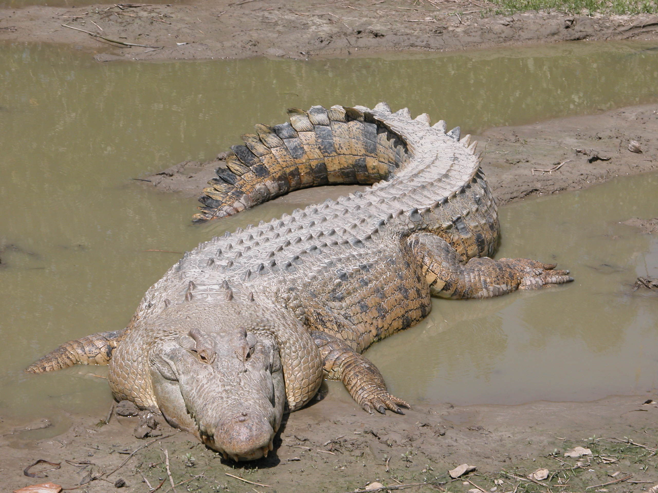 5 Best Reasons To Visit Barotse Floodplains