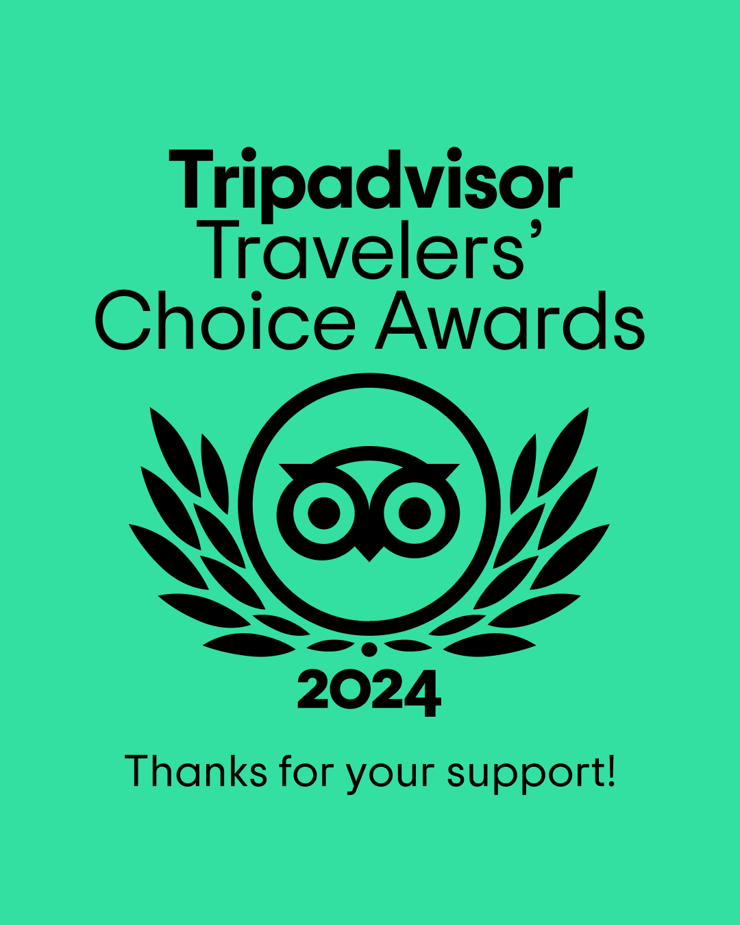 Kubwa Five Safaris Wins Tripadvisor Travelers Choice Award 2024