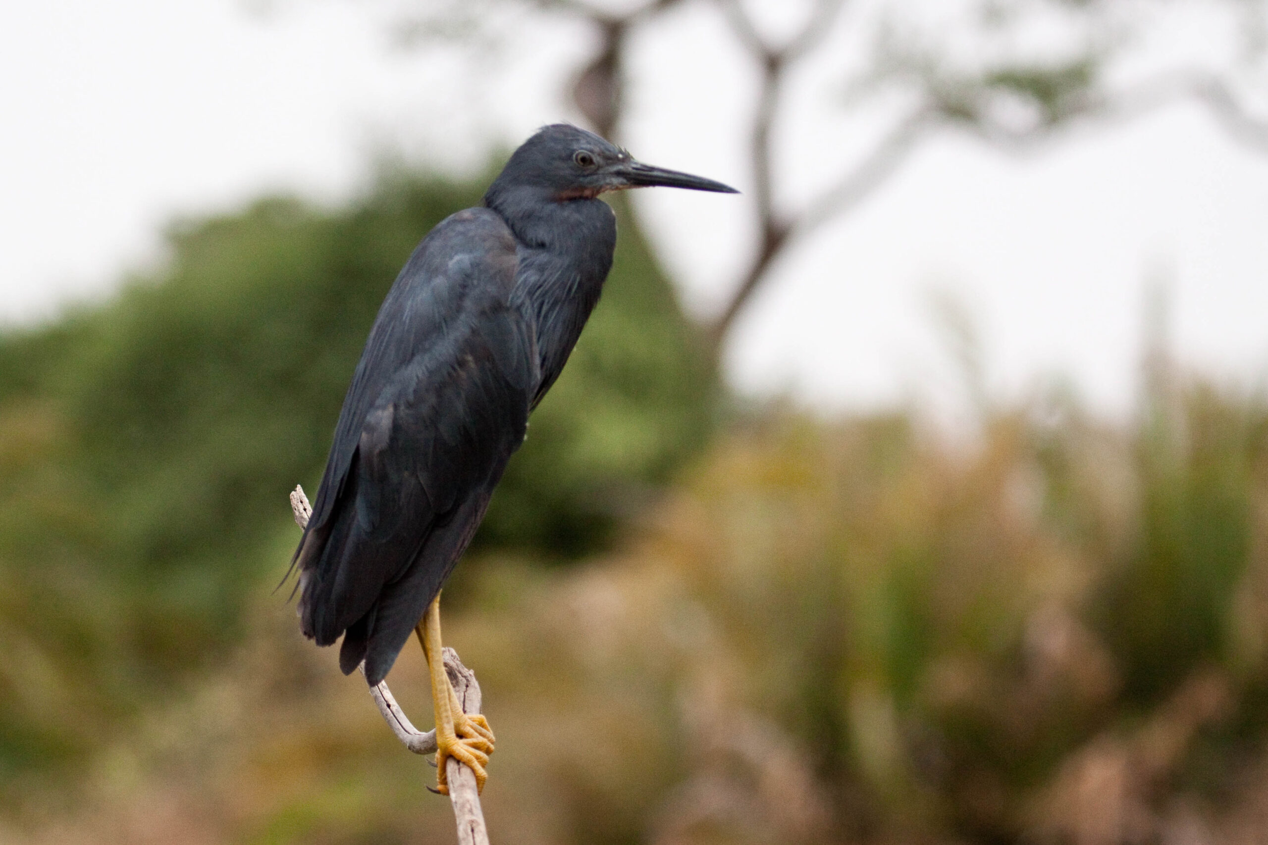 The Exclusive Location Of Mikumi National Park