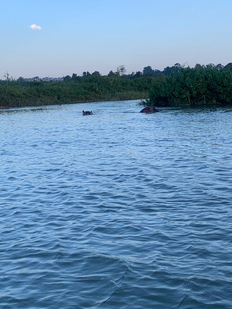 Bahir Dar & Lake Tana