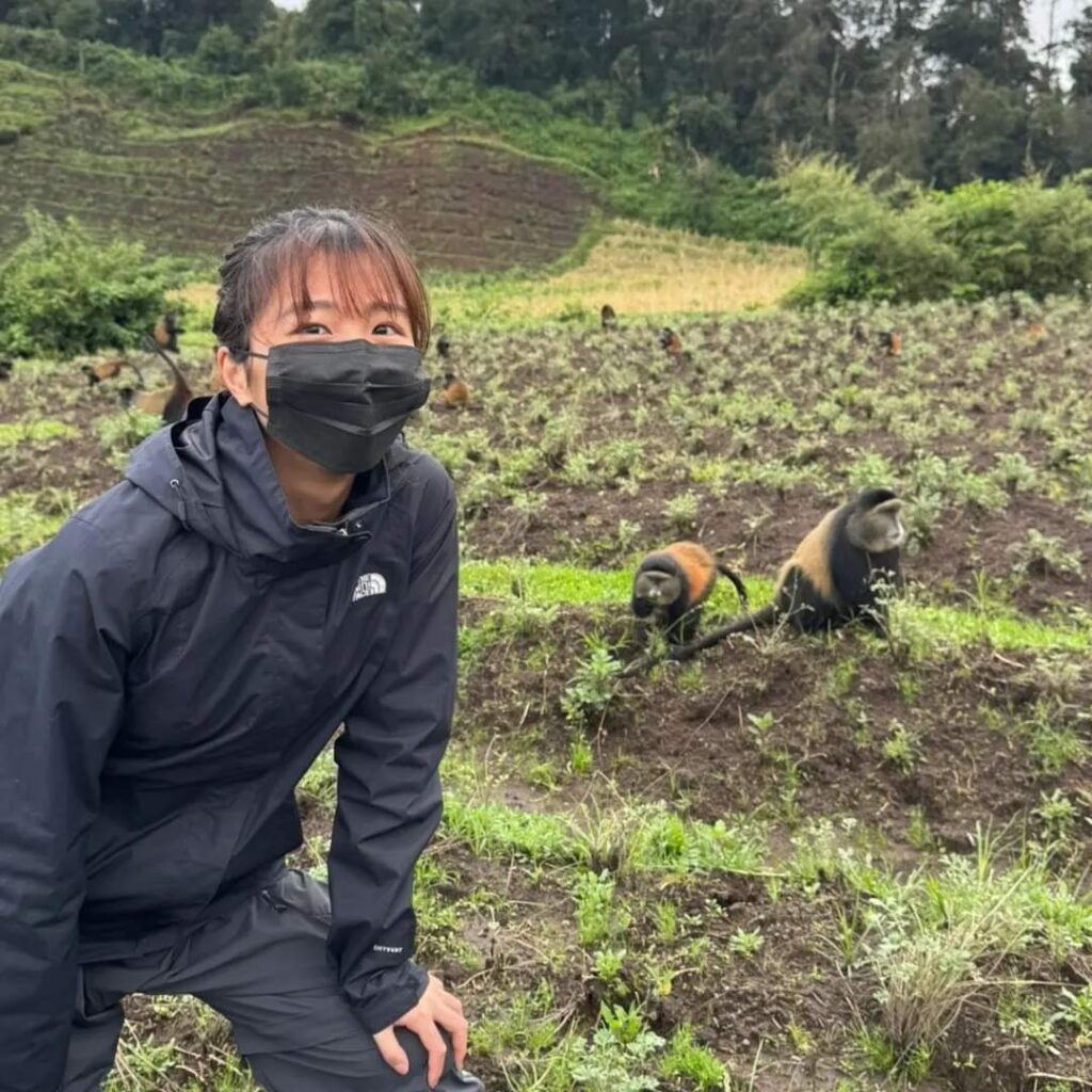 3 Day Luxury Gorilla & Golden Monkey Trekking Tour In Rwanda