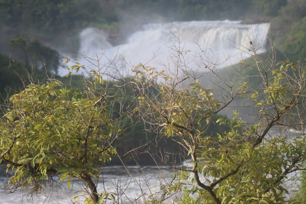 5 Day Luxury Vacation In Murchison Falls And Queen Elizabeth