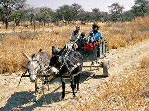 The 10 Best Cultural Tours In Namibia