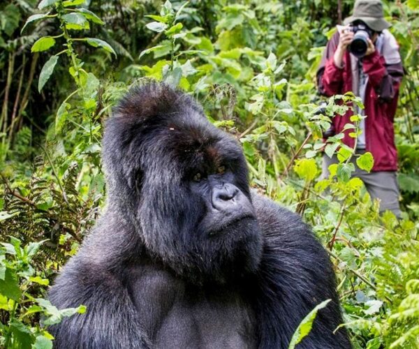 34 Days Stunning East African Mid-Range Safari