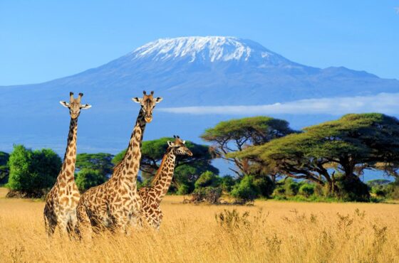 What Tanzania Is Best Known For